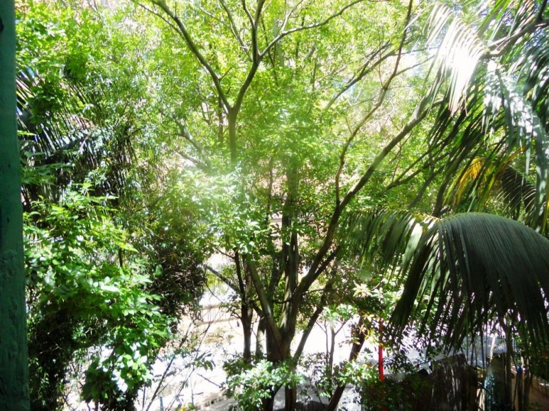 6-8 Barncleuth Sq, Elizabeth Bay NSW 2011