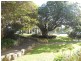 Sh 25/301-313 Stanmore Road B, Petersham NSW 2049