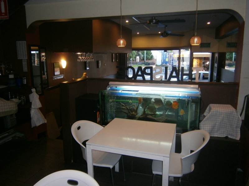 Glebe NSW 2037