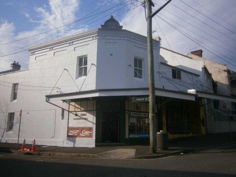 115 Arundel Street, Glebe NSW 2037