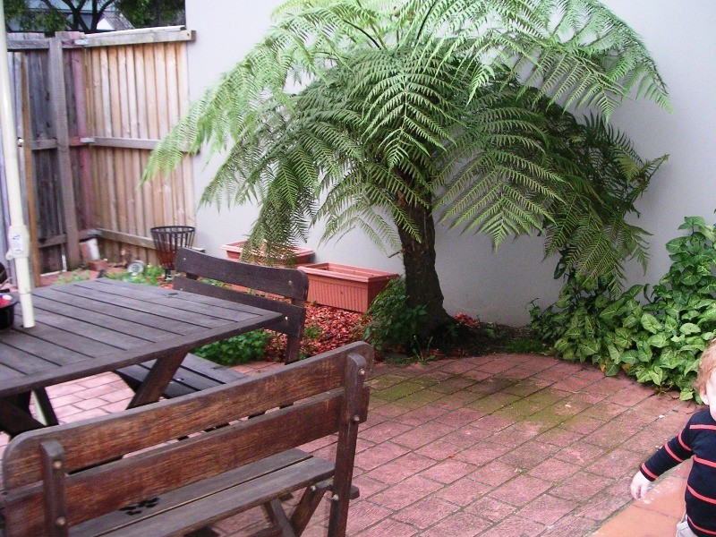 88A Chelmsford Street, Newtown NSW 2042