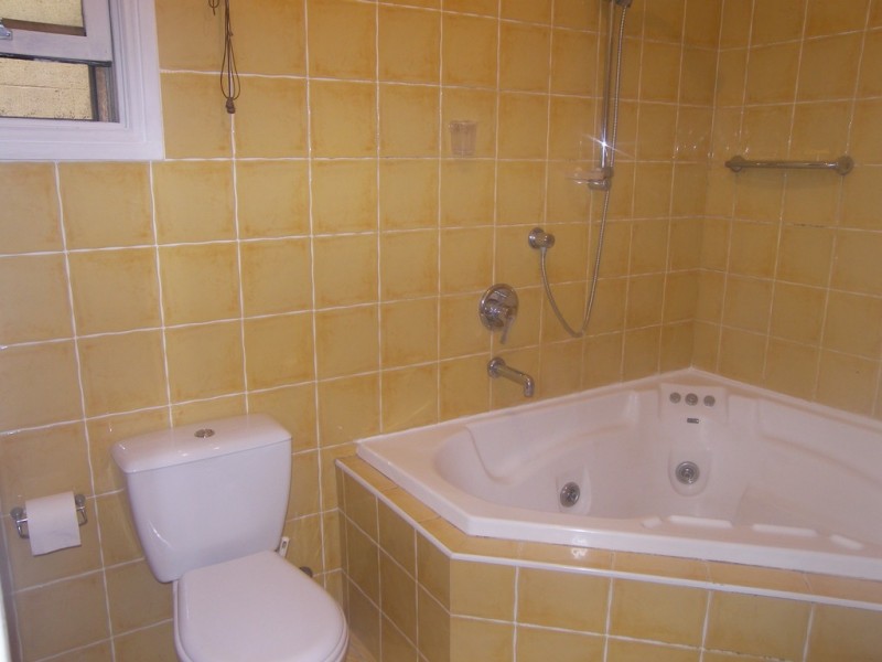 444 Wilson Street, Darlington NSW 2008