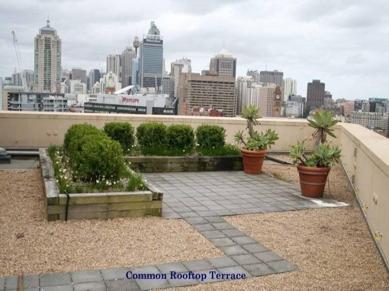 505/71-75 Regent Street, Chippendale NSW 2008