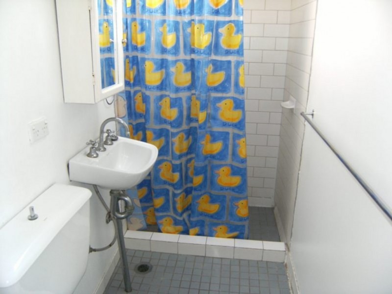 141 George Street, Erskineville NSW 2043