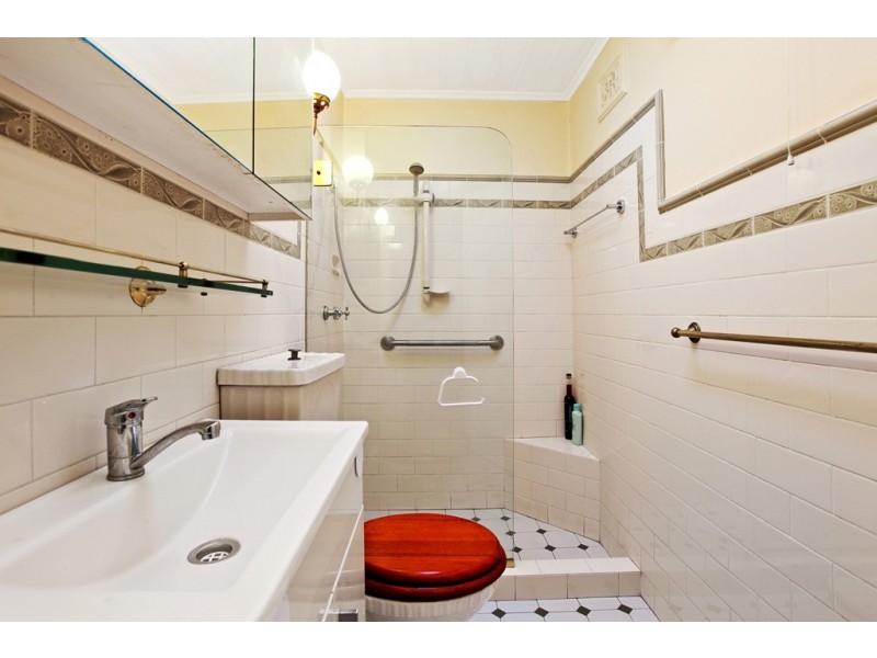 13 Albermarle Street, Newtown NSW 2042