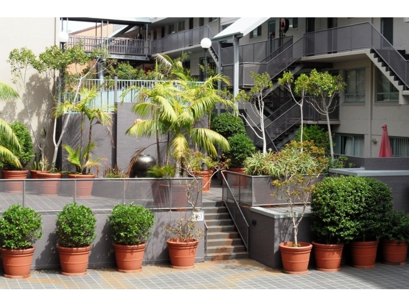 52/155 Missenden Rd, Newtown NSW 2042