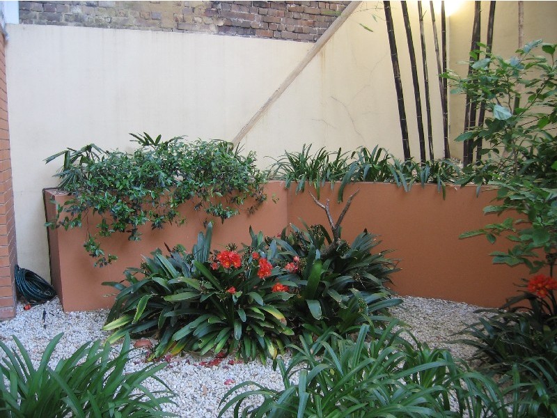 4/1 Dwyer Street, Chippendale NSW 2008