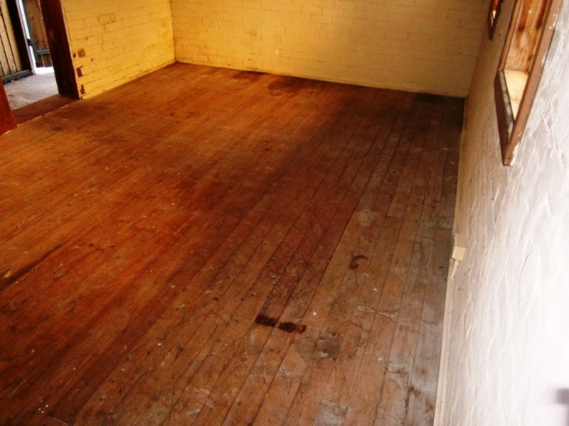 1a Bucknell St, Newtown NSW 2042