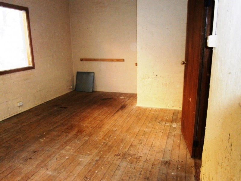 1a Bucknell St, Newtown NSW 2042