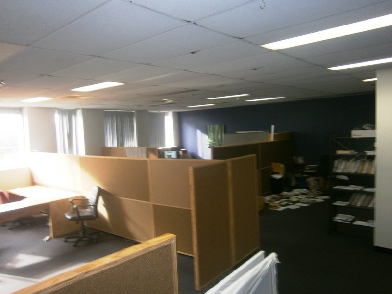 176 Parramatta Rd, Camperdown NSW 2050