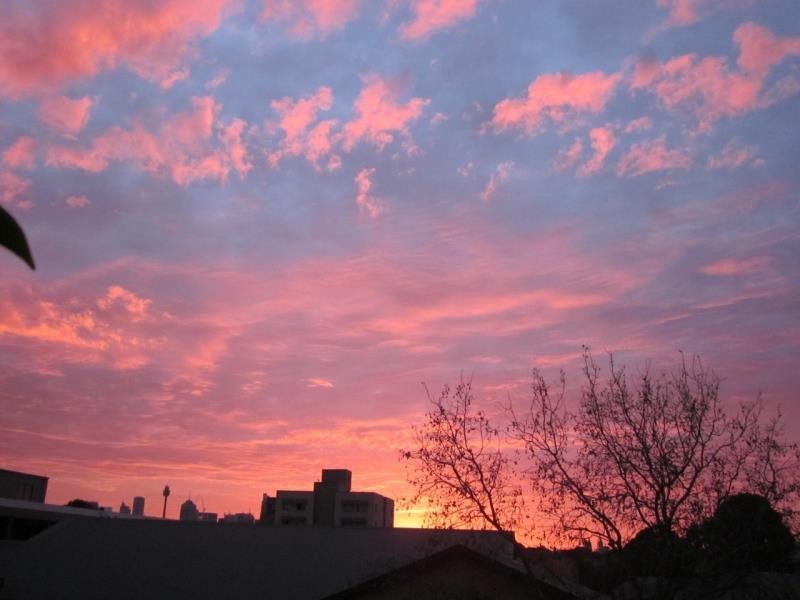 100/155 Missenden Road, Newtown NSW 2042