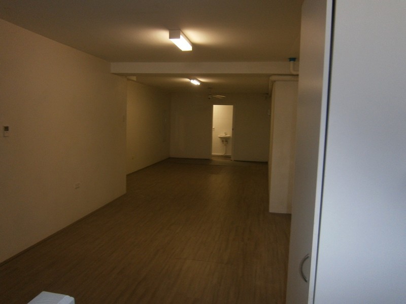 22 Little Mount St, Pyrmont NSW 2009