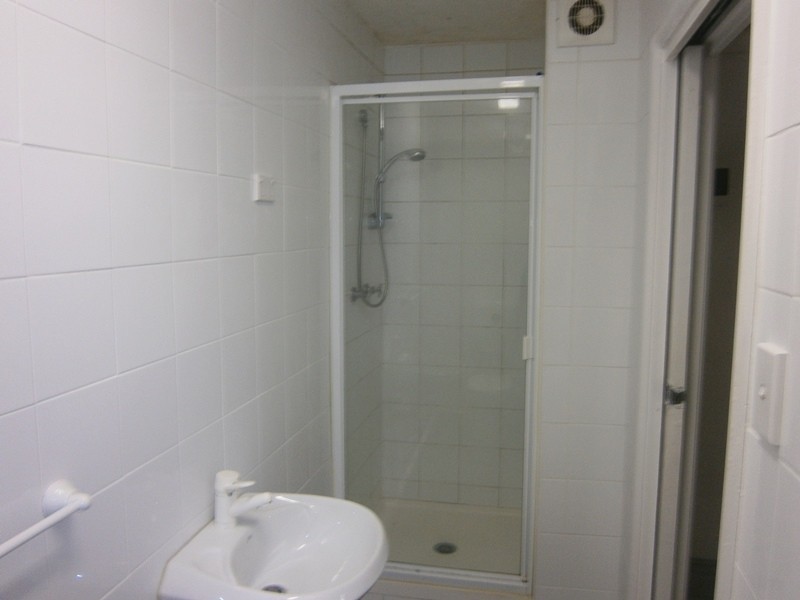 22 Little Mount St, Pyrmont NSW 2009