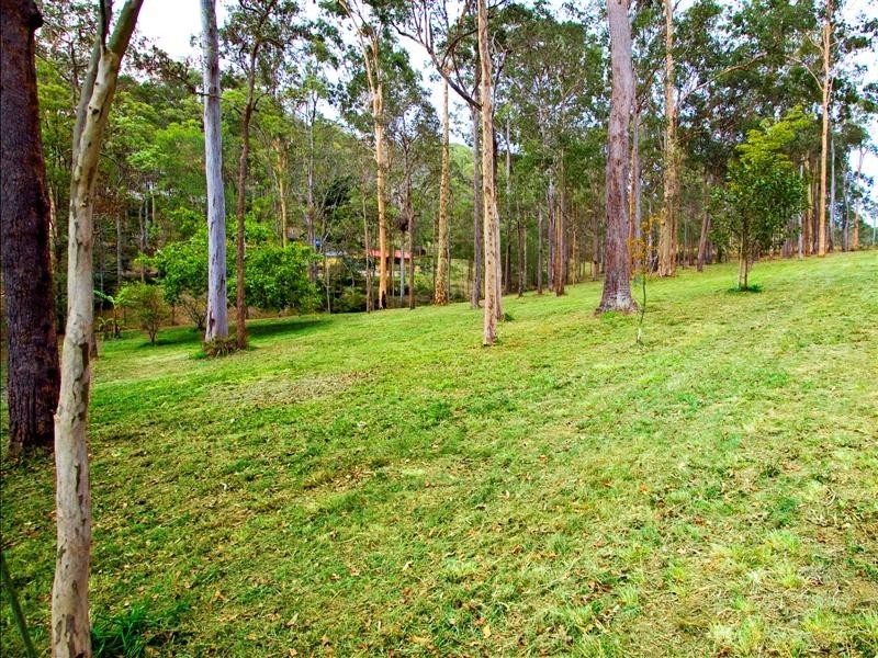 29 Scout Road, Kurwongbah QLD 4503