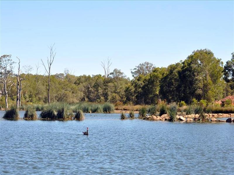 L451 Parkway Crescent, Murrumba Downs QLD 4503