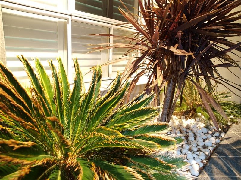 15  Corowa Court, Eatons Hill QLD 4037