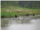 108 Lake Manchester Rd, Kholo QLD 4306