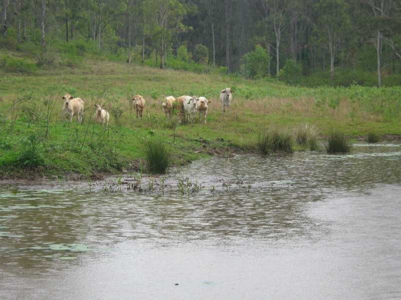 108 Lake Manchester Rd, Kholo QLD 4306