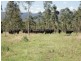 Woolmar QLD 4515