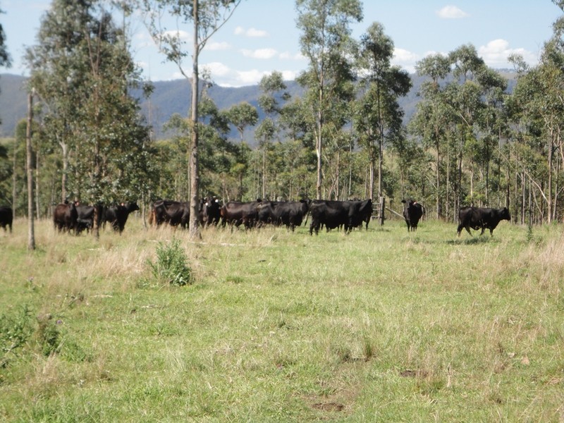 Woolmar QLD 4515
