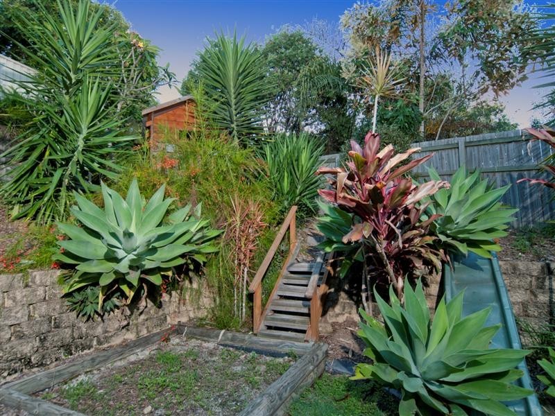 8 Blackbean Court, Albany Creek QLD 4035