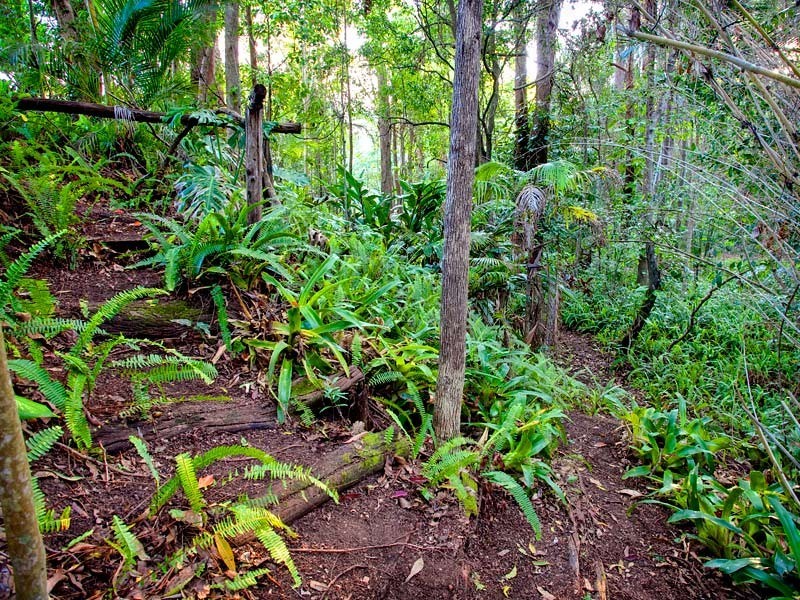 Bridgeman Downs QLD 4035