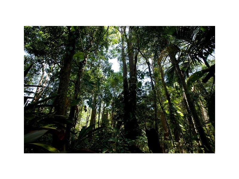 Bridgeman Downs QLD 4035