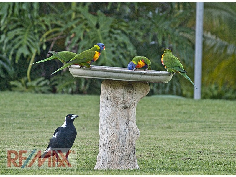 15 Tattler St, Warner QLD 4500