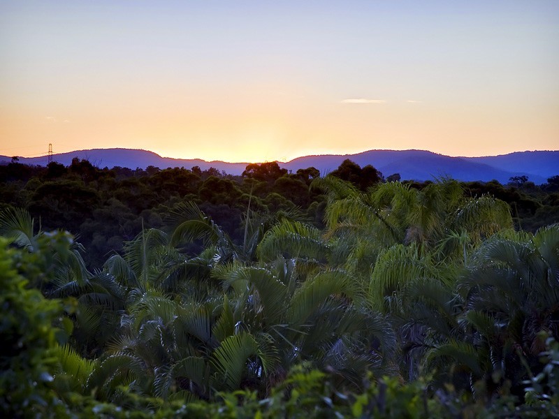 36 Constellation Crescent, Bridgeman Downs QLD 4035