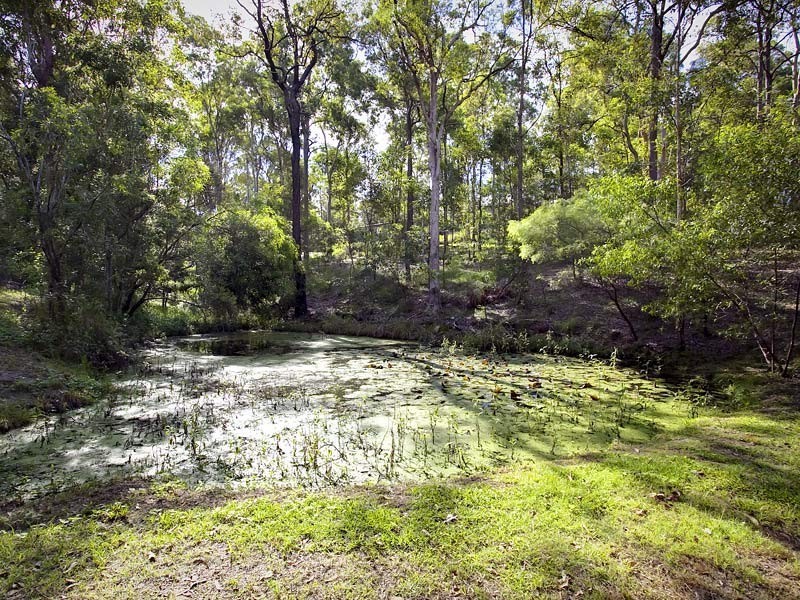 51 Drapers Road, Eatons Hill QLD 4037