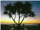 Maroochydore QLD 4558