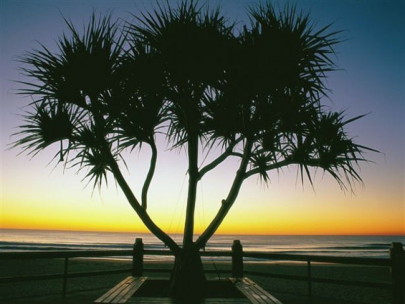 Maroochydore QLD 4558
