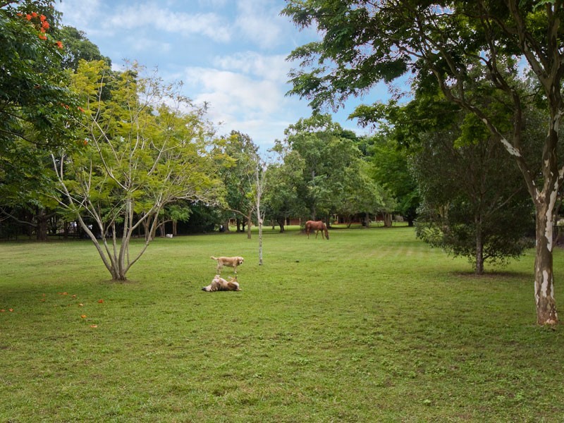 307 Albany Creek Road, Bridgeman Downs QLD 4035