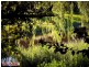 480 Mt Crosby Road, Anstead QLD 4070