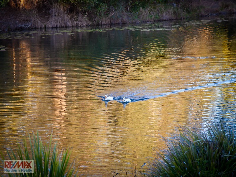 16 Mindi Court, Cashmere QLD 4500