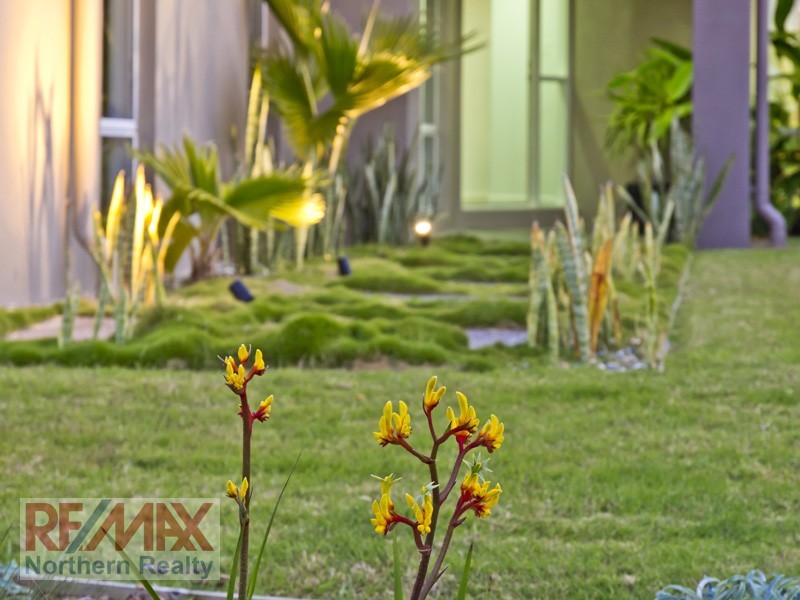 6 Carrybridge Ct, Warner QLD 4500