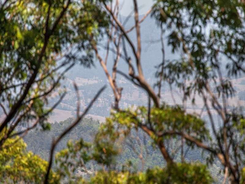 Maleny QLD 4552