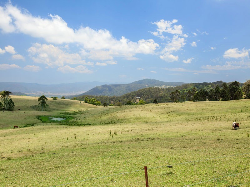 Maleny QLD 4552