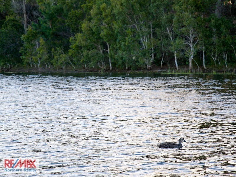 68 Mahogany Drive, Pelican Waters QLD 4551