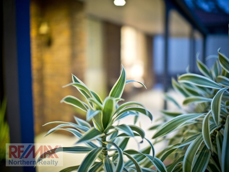 3 Sharon Court, Albany Creek QLD 4035