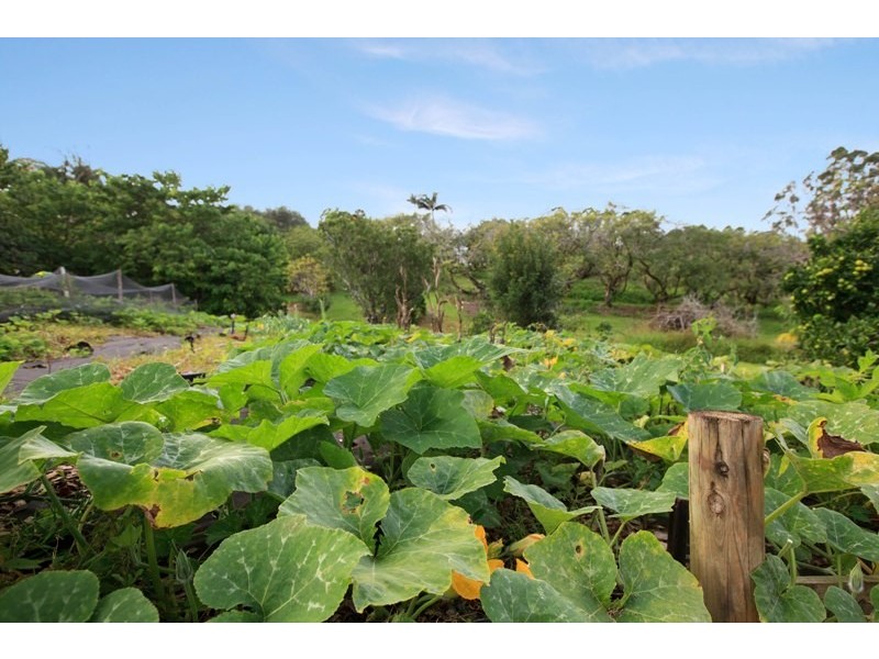 38 Flaxton Mill Road, Flaxton QLD 4560