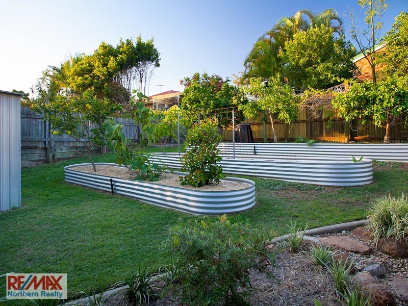 8 Connewarre Court, Petrie QLD 4502
