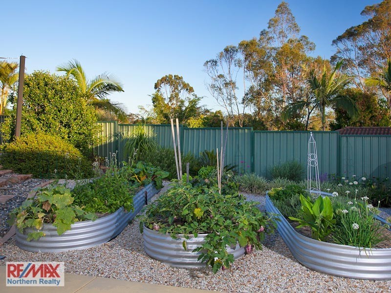 8 Connewarre Court, Petrie QLD 4502