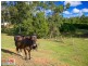 109 Commissioners Flat Road, Peachester QLD 4519