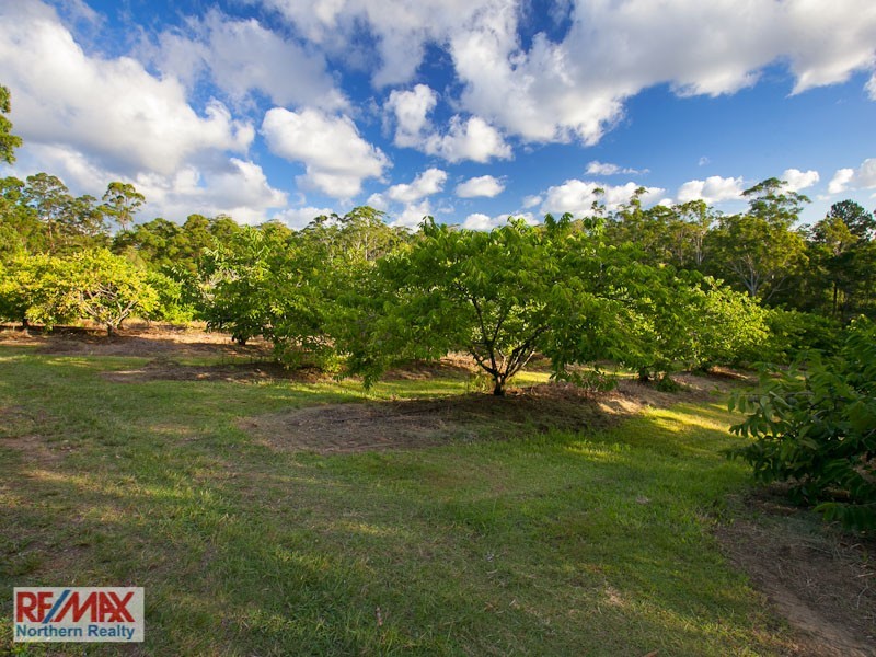 109 Commissioners Flat Road, Peachester QLD 4519