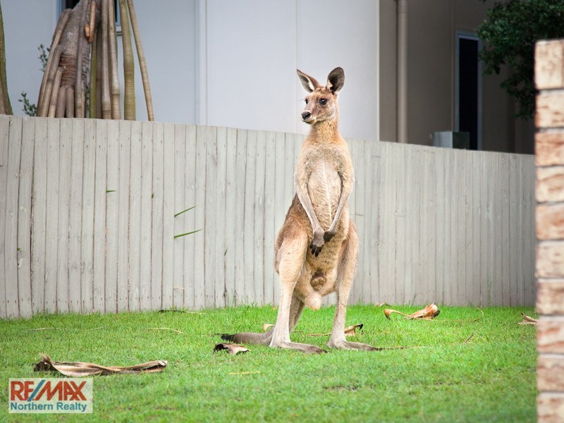 9 Third Avenue, Toorbul QLD 4510