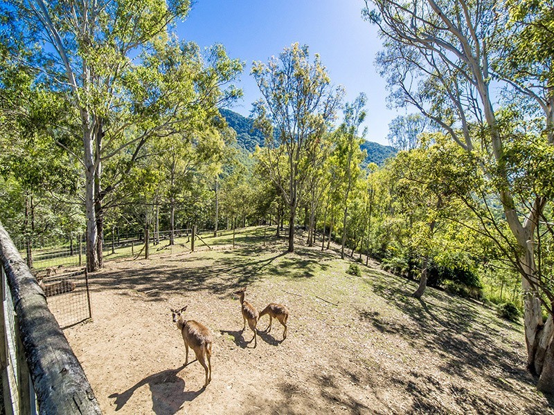 Mount Samson QLD 4520