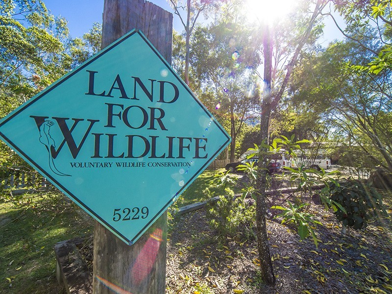 Mount Samson QLD 4520
