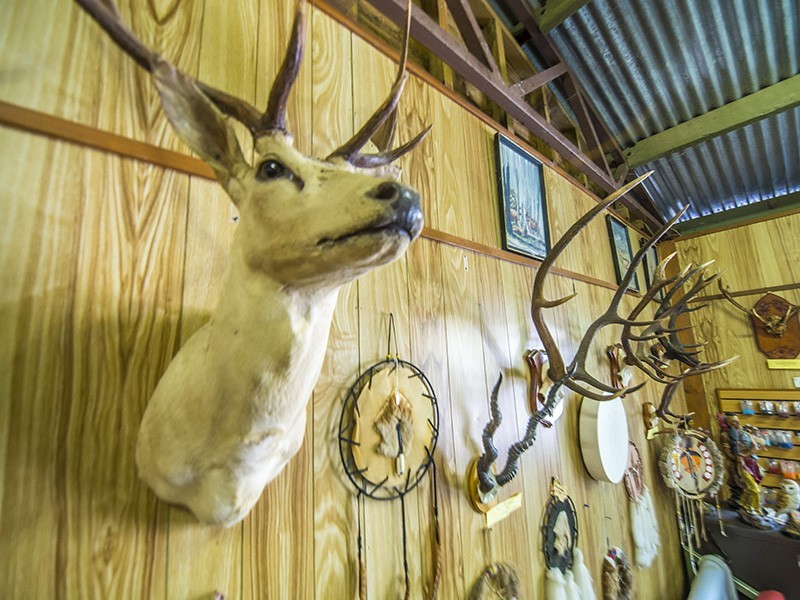 Mount Samson QLD 4520