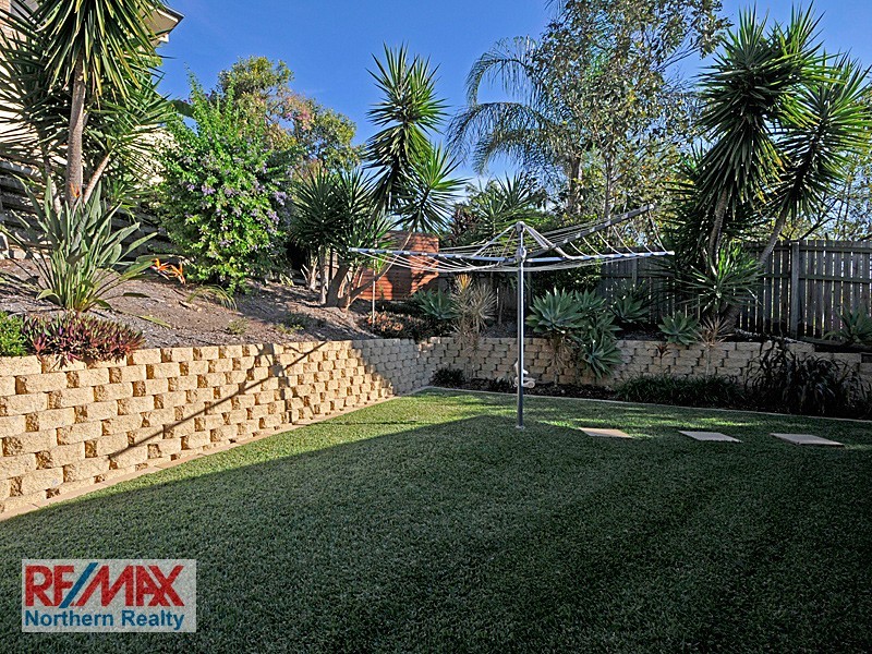 8 Black Bean Court, Albany Creek QLD 4035